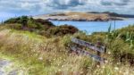 Coastal Walk Near Arai-te-uru Recreation Reserve In Omapere In N Stock Photo