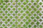 Concrete Block With Grass Stock Photo