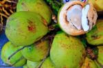 Group Of Coconuts Stock Photo