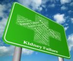 Kidney Failure Indicates Lack Of Success And Advertisement Stock Photo