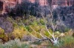 Zion National Park Utah Stock Photo