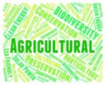 Agricultural Word Indicates Cultivation Words And Cultivates Stock Photo