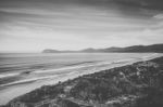 View Of Bruny Island Beach During The Day Stock Photo