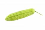 Single Green Chinese Bitter Gourd On White Background Stock Photo