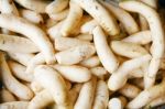 Daikon Radish Stock Photo