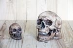 Human Skull On Wood Background Stock Photo