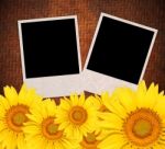 Photo Frame Stock Photo