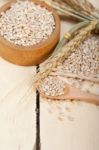 Organic Barley Grains Stock Photo