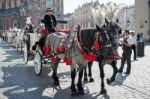 Carriage And Horses In Krakow Stock Photo