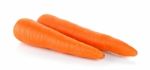 Carrot Isolated On The White Background Stock Photo