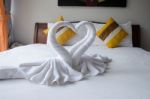 Swan Towel Stock Photo