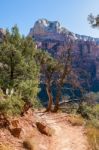 Trail Through The Virgin River Valley Stock Photo