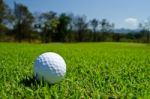 Golf Ball Stock Photo