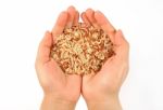 Hand Holding Brown Rice Stock Photo