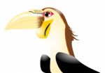 Wreathed Hornbill Stock Photo