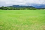 Lawn In The Countryside Stock Photo