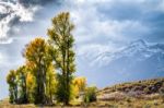 Gros Ventre River Valley Stock Photo