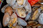 Fresh Clams On An Iron Skillet Stock Photo