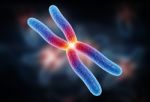 Chromosome Stock Photo