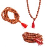 Rudraksha Rosary In A Female Hand. Japa Mala Stock Photo