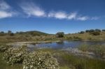 Landscape With Temporary Pond Stock Photo