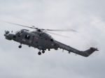 Royal Navy Black Cat Lynx Stock Photo