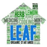 Herb Tag Word Cloud Background Stock Photo