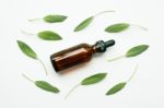 Natural Sage Essential Oil With Sage Leaves On White  Background Stock Photo