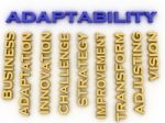 3d Image Adaptability Issues Concept Word Cloud Background Stock Photo