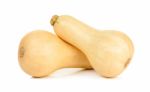 Butternut Squash On White Background Stock Photo