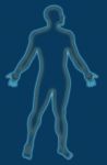 Male Human Anatomy Outline Blue Stock Photo