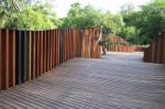 Wooden Walkway In The Park Stock Photo