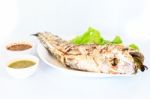 Grilled Salted Catfish Stock Photo