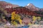 Autumn In Zion Stock Photo