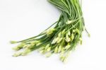 Chives Flowers Stock Photo