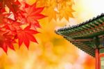 Gyeongbokgung Palace With Colorful Autumn Leaves In Seoul, South Korea Stock Photo