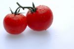 Tomato Stock Photo