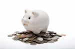 Piggy Bank Stock Photo