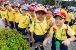 Primary Students Visit The Zoo, In The Jul 27, 2016. Bangkok Thailand Stock Photo