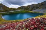 Lake Alaska Landscape Stock Photo