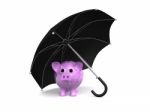 Pig And Umbrella Stock Photo