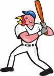 Turkey Baseball Hitter Batting Isolated Cartoon Stock Photo