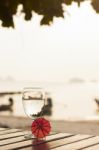 Glass Of Pure Water On A Dark Table On The Beach With A Palm Tre Stock Photo