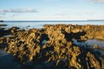 Beautiful View Of Rocky Cape, Tasmania Stock Photo