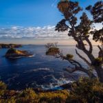 Sunrise At Te Pare Point Stock Photo