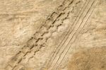 Motorcycle Tire Tracks On Soil Floor Stock Photo