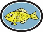 Gourami Fish Side View Oval Cartoon Stock Photo