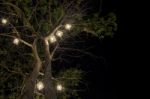 Lanterns Hanging From Tree Stock Photo