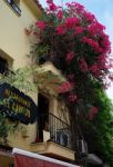 Marbella, Andalucia/spain - July 6 : Overgrown Restaurant In Mar Stock Photo