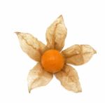 Fresh Cape Goosebery, Physalis, On White Background Stock Photo